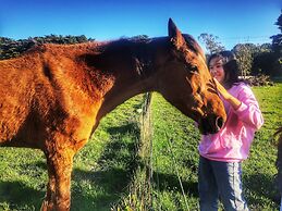 Twelve Apostles Motel & Country Retreat