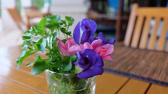 Lanta Mermaid Boutique House