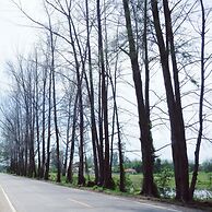 Lanta Mermaid Boutique House