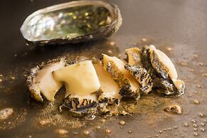 Tokachigawa Onsen Daiichi Hotel Hoshutei Toyotei