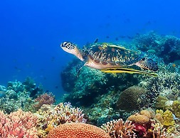 Bungalows on the Bay