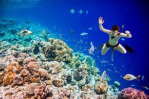 Bungalows on the Bay