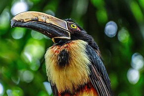 GHL Corales de Indias