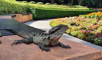 The Astor Apartments