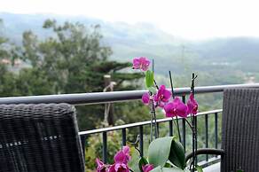 Quinta Cova do Milho