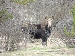 Eagle Ridge Ranch