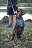 Reflections Ferry Reserve - Holiday Park