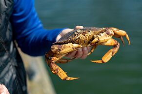 Chateau Westport Resort