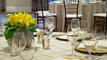 Hyatt Regency Atlanta Perimeter at Villa Christina