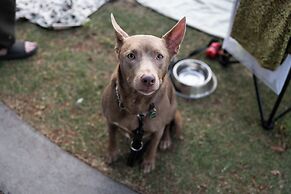 Reflections Evans Head - Holiday Park