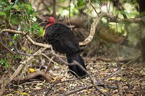 Reflections Moonee Beach - Holiday Park