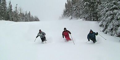 Condos Hôtel Lion D'or