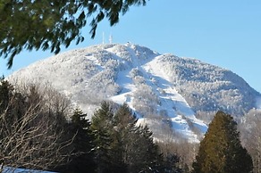 Condos Hôtel Lion D'or