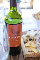 The Vines Resort & Spa