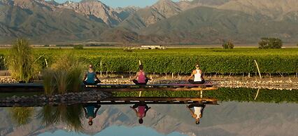 The Vines Resort & Spa