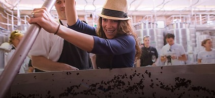 The Vines Resort & Spa