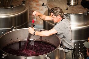 The Vines Resort & Spa