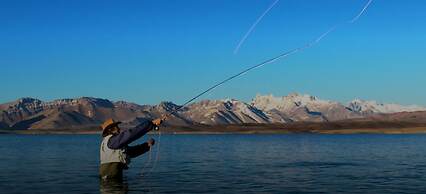 The Vines Resort & Spa