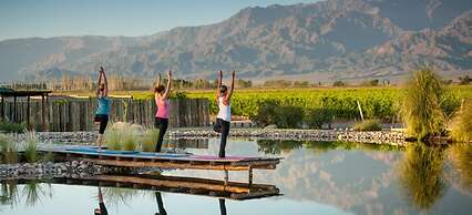 The Vines Resort & Spa