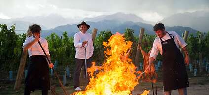 The Vines Resort & Spa