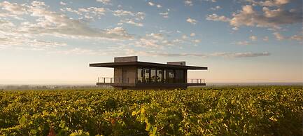 The Vines Resort & Spa