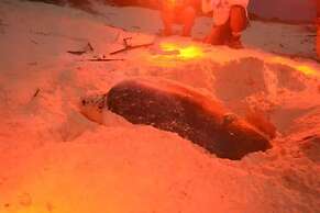 Ventanas al Mar - Adults Only