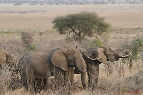 Ecoscience Center & Luxury Lodge