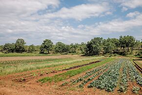 Meneghetti Wine Hotel and Winery