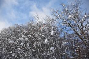 Manthos Mountain Resort & Spa