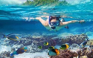 East Winds Saint Lucia