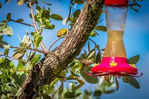 East Winds Saint Lucia