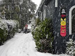 Big Tree Lodge Methven - Hostel