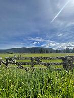 Mt Cook View Motel - Fox Glacier