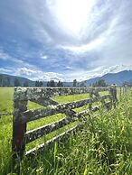 Mt Cook View Motel - Fox Glacier