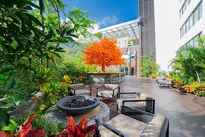 Hotel Mousai Puerto Vallarta Adults Only