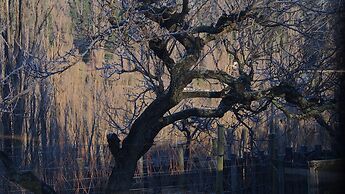 Hartley Homestead Boutique B and B