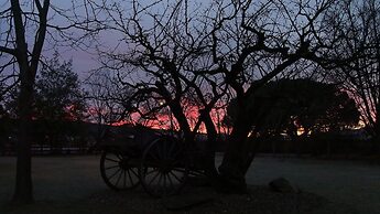 Hartley Homestead Boutique B and B