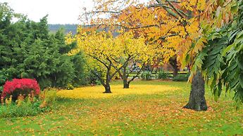 Hartley Homestead Boutique B and B