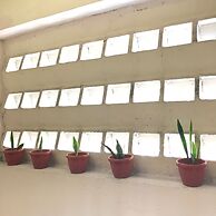 Iskandar Sinsuran Guesthouse