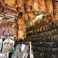 Iskandar Sinsuran Guesthouse