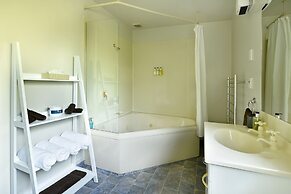 Amber Court Motel Nelson