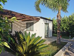 Agriturismo Terra dei Limoni