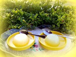 Agriturismo Terra dei Limoni