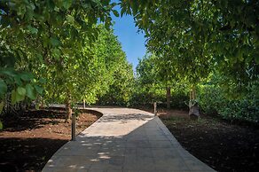 Agriturismo Terra dei Limoni