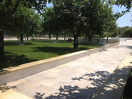 Agriturismo Terra dei Limoni