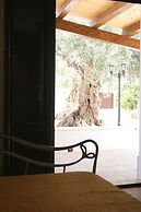 Agriturismo Terra dei Limoni