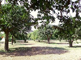 Agriturismo Terra dei Limoni