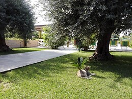 Agriturismo Terra dei Limoni