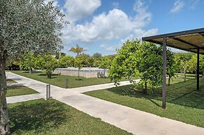 Agriturismo Terra dei Limoni