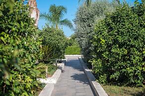 Agriturismo Terra dei Limoni
